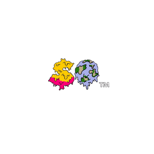 swrld18.com